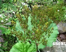 ?橐蓪s虑P,韺!>缟z?蓞1齜击蠨k!絅嘨寖蟁8勱壧/5?#$7(胗?闢褄廗?奼櫏?'a?HZ帕?Q︿と'甭舩J的简单介绍